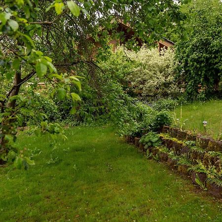 Ferienhaus Weitblick Altenbrak Exteriör bild
