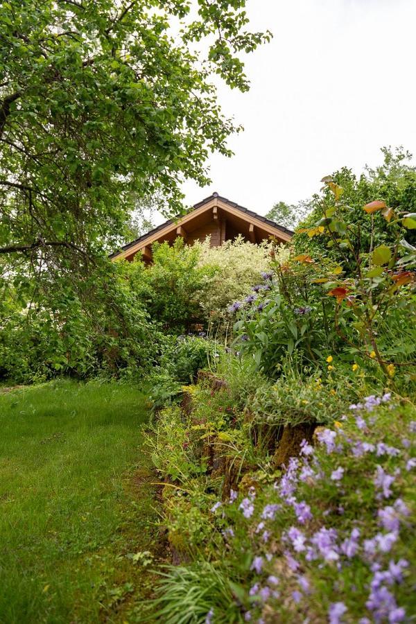 Ferienhaus Weitblick Altenbrak Exteriör bild