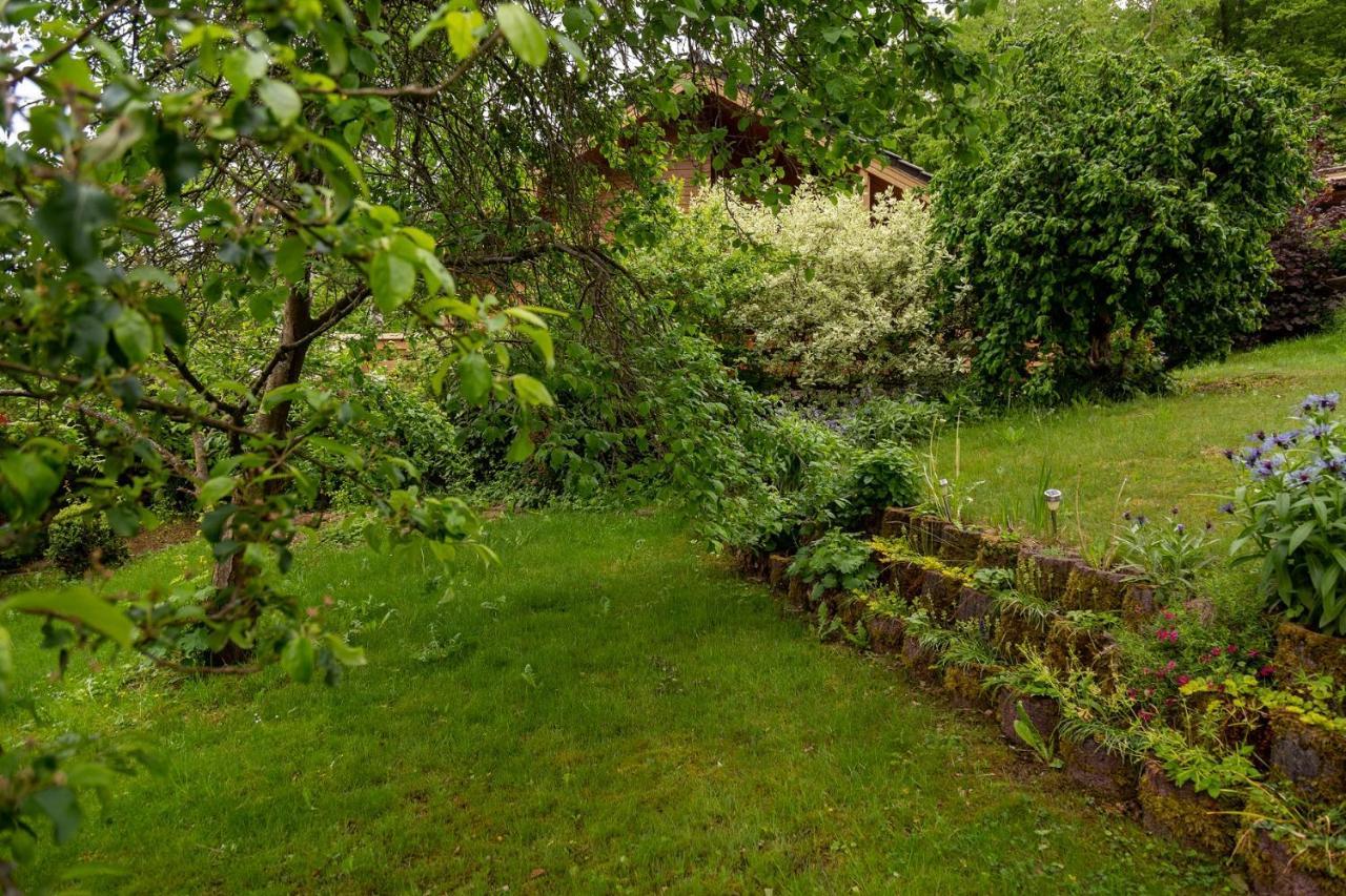 Ferienhaus Weitblick Altenbrak Exteriör bild
