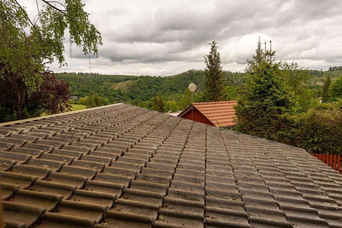 Ferienhaus Weitblick Altenbrak Exteriör bild